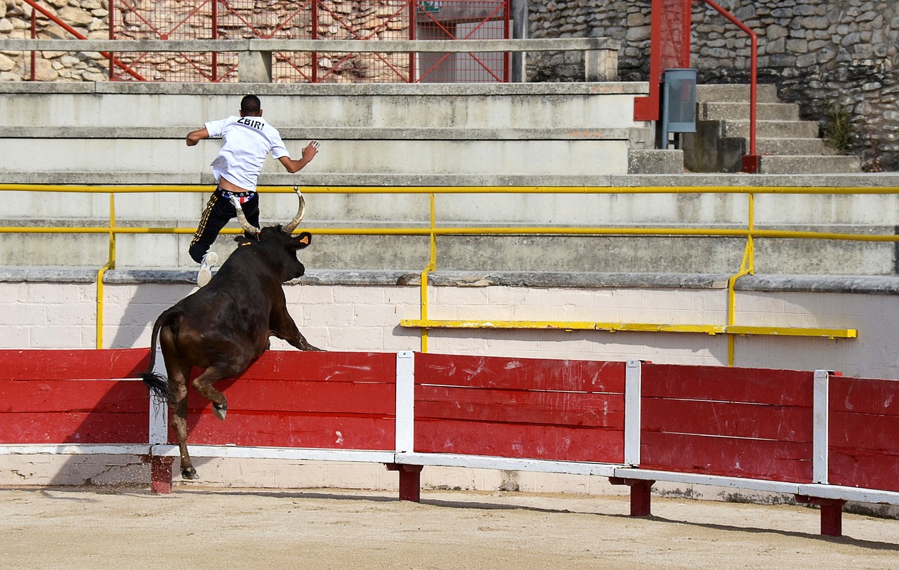 锋中