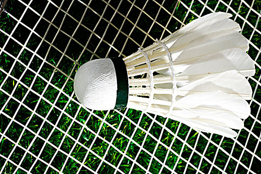 与体能的提 与体能的提