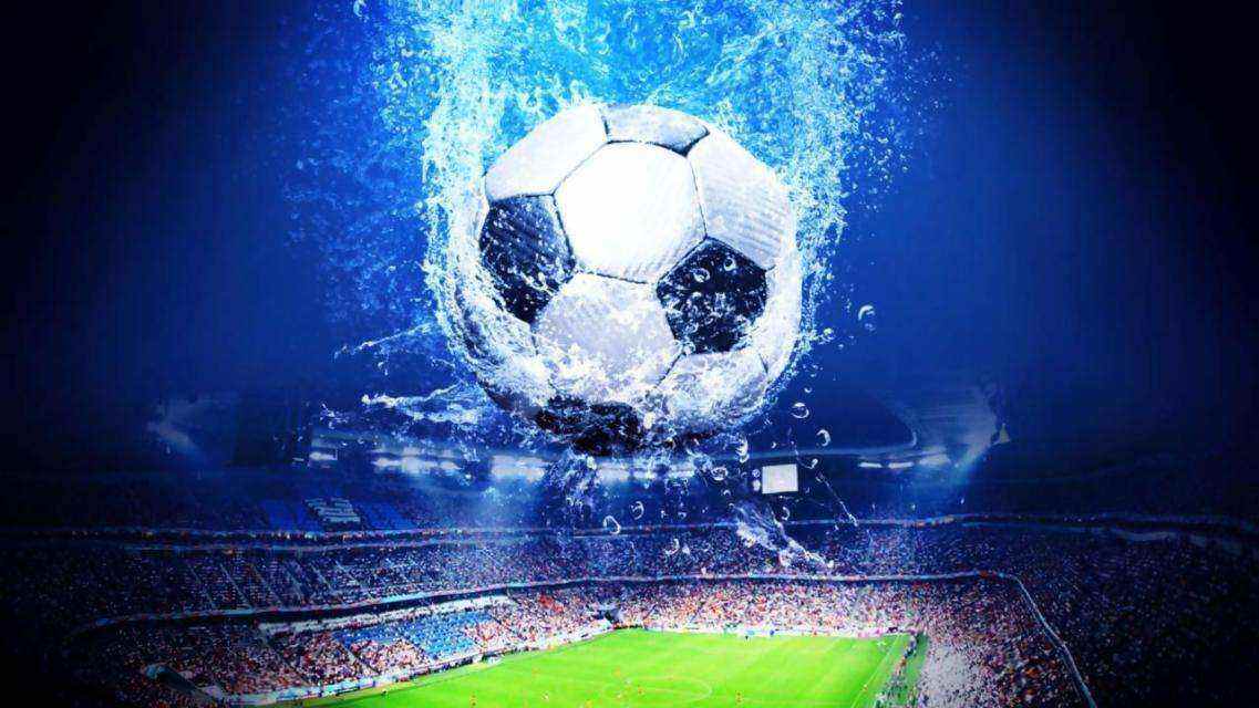 体育教育的 体育教育的