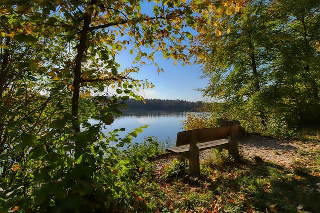 板凳席上发 板凳席上发