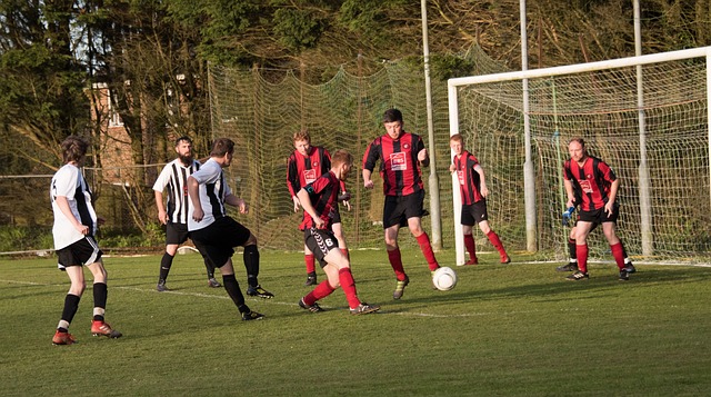 向年轻球员 向年轻球员